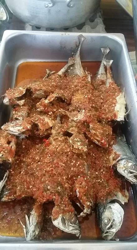 13557788_652970991522301_5692599914084360831_n