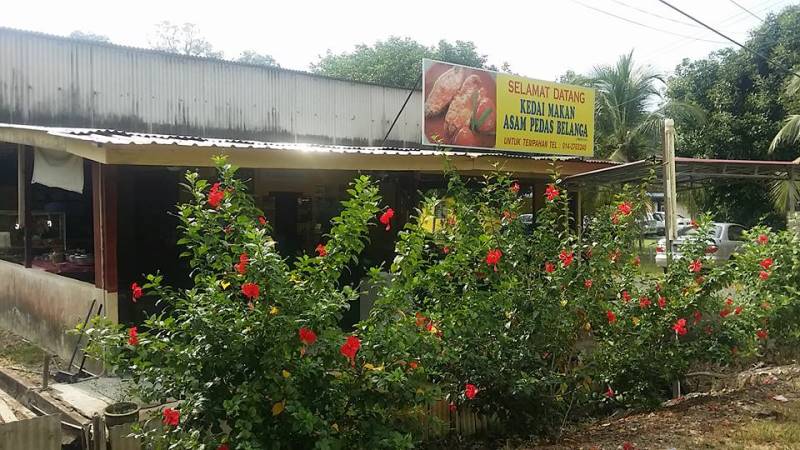 13557792_652970801522320_749716929142640812_n