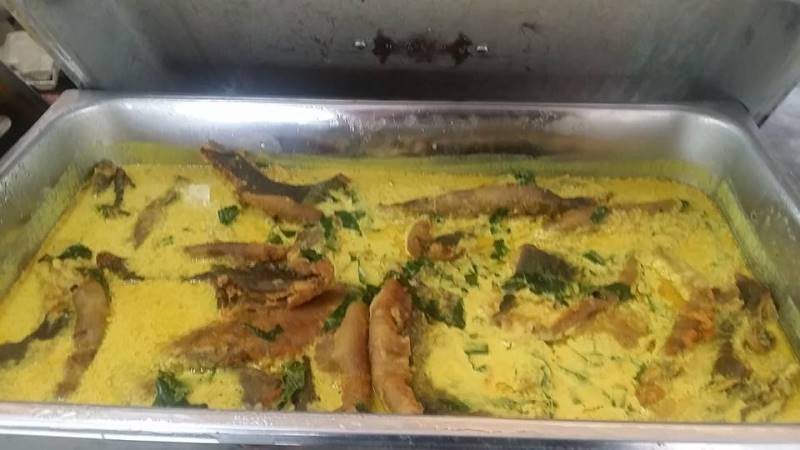 13557792_652970831522317_3216812067508763769_n