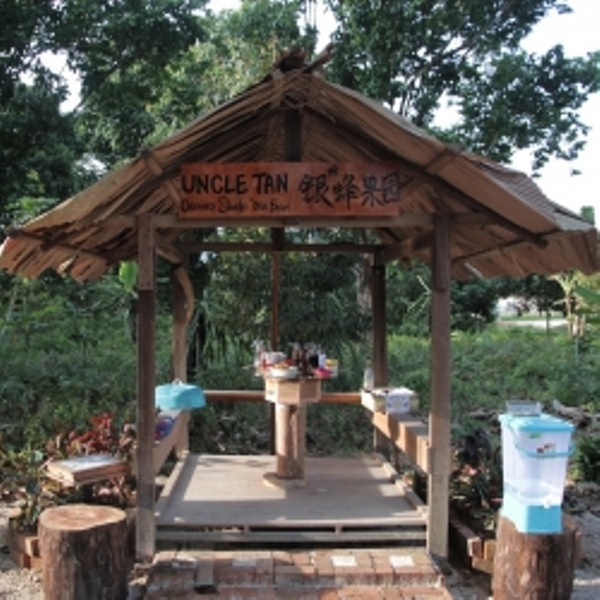 honey-from-friendly-bees-250x250