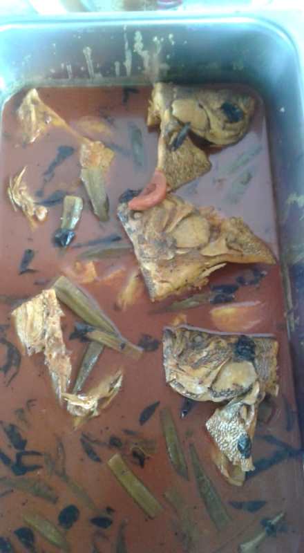 57213869_324038791502388_7870381270448996352_n